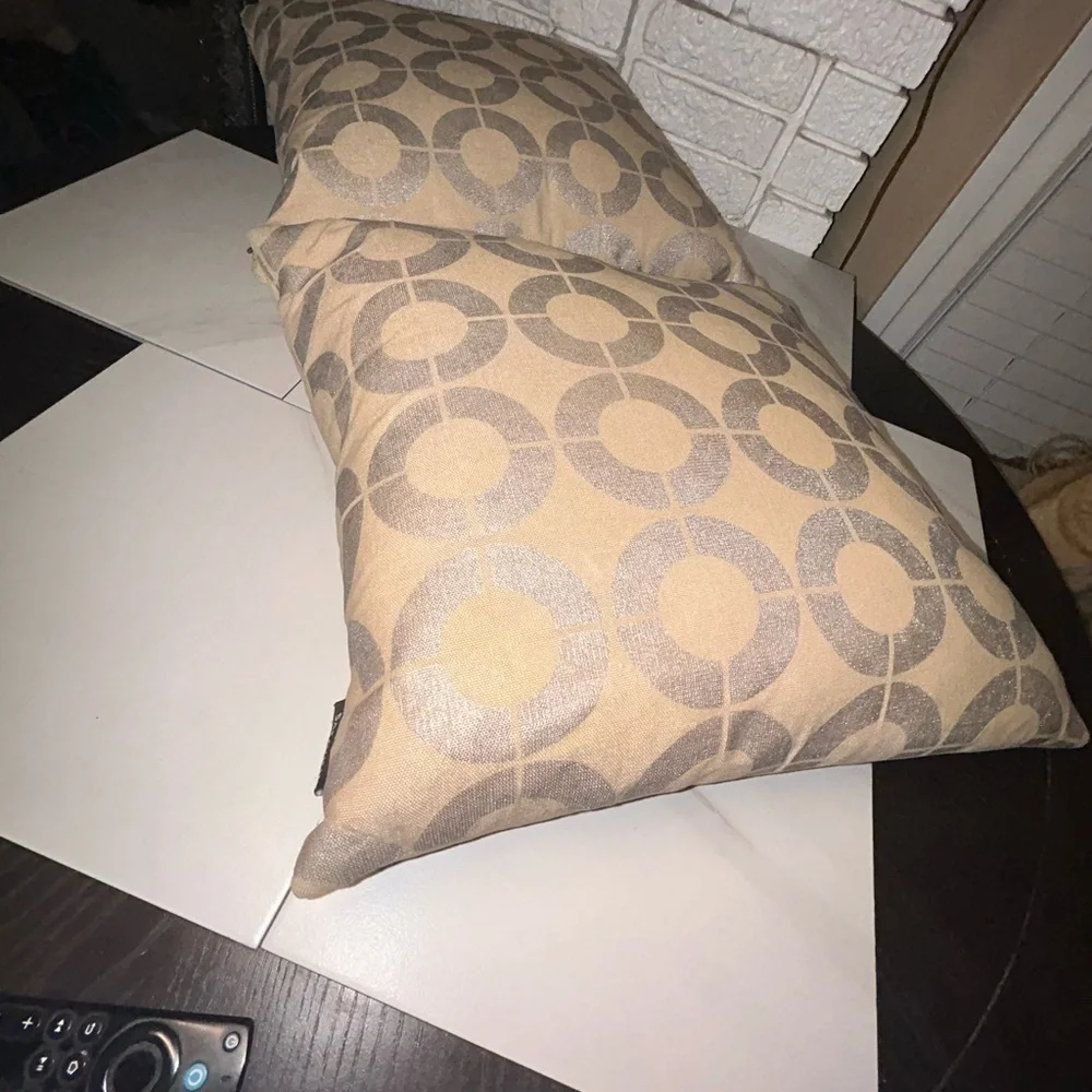 Safavieh Silver Cream Tan Geometric Circles Accent Throw Pillows